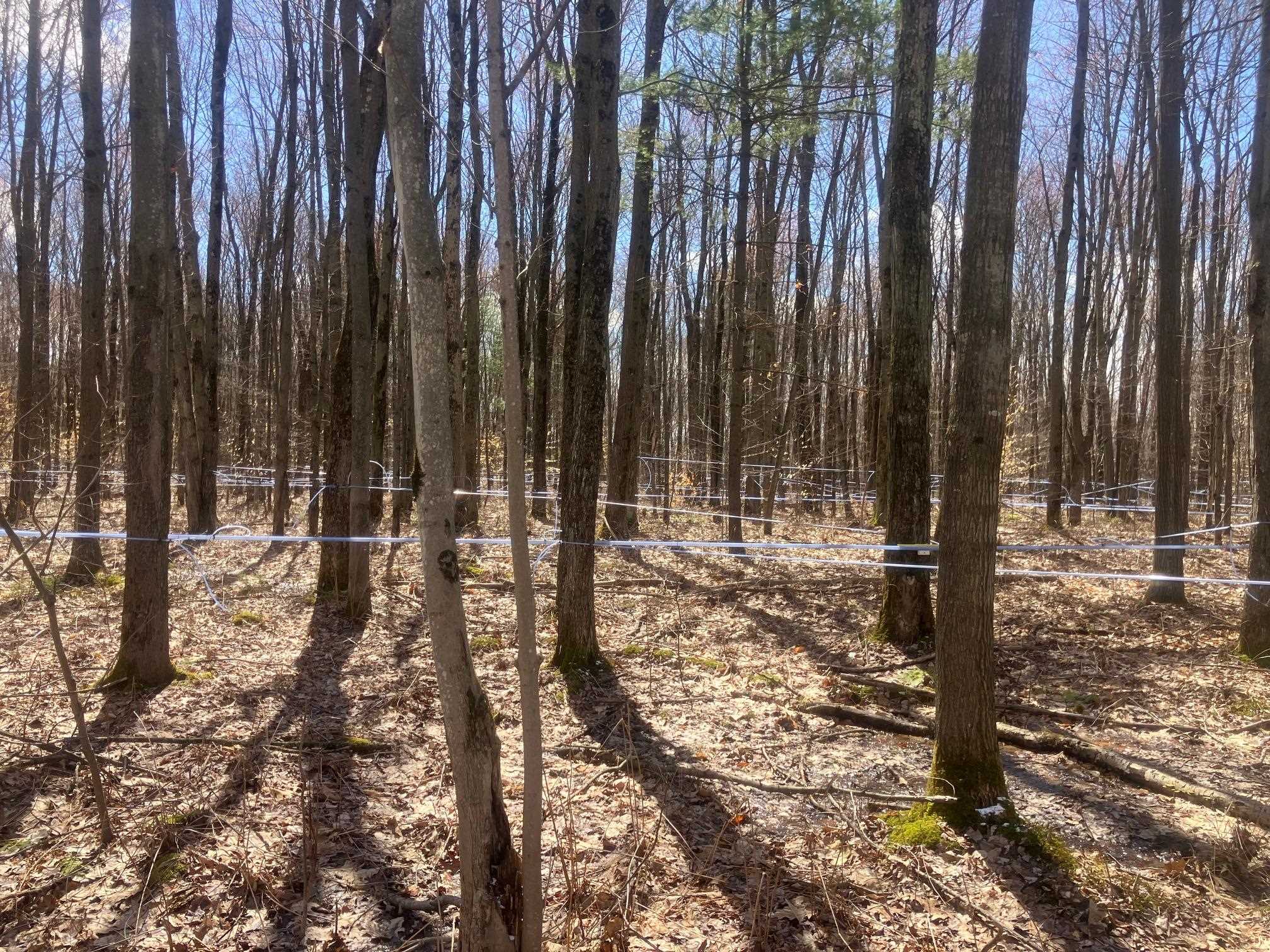 74 Jedware Circle, Unit LOT 101 Swanton, VT 05488 - Photo 10 of 17