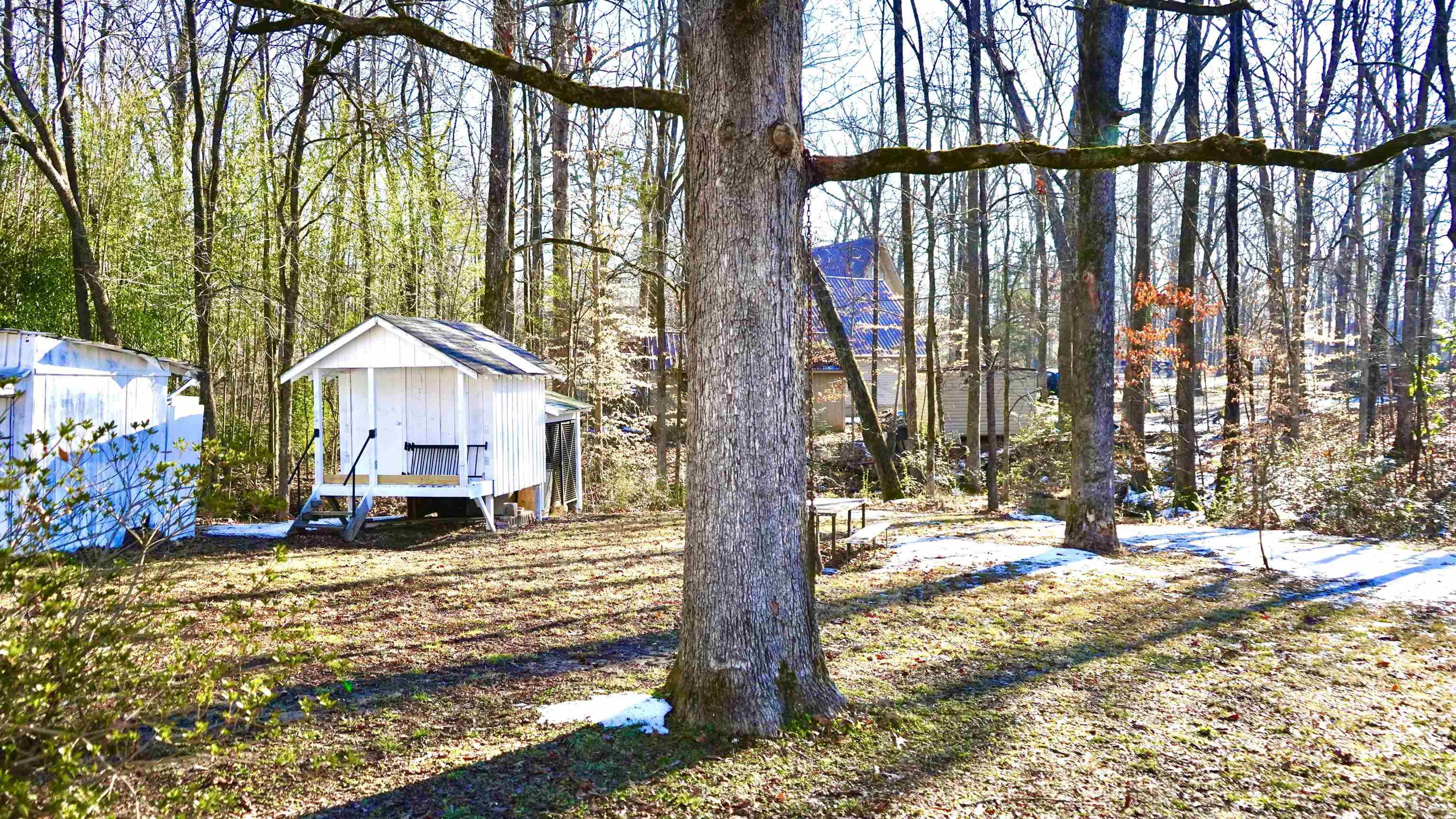 120 Rhodes Drive Middleton, TN 38052 - Photo 3 of 16 View of yard with a storage unit