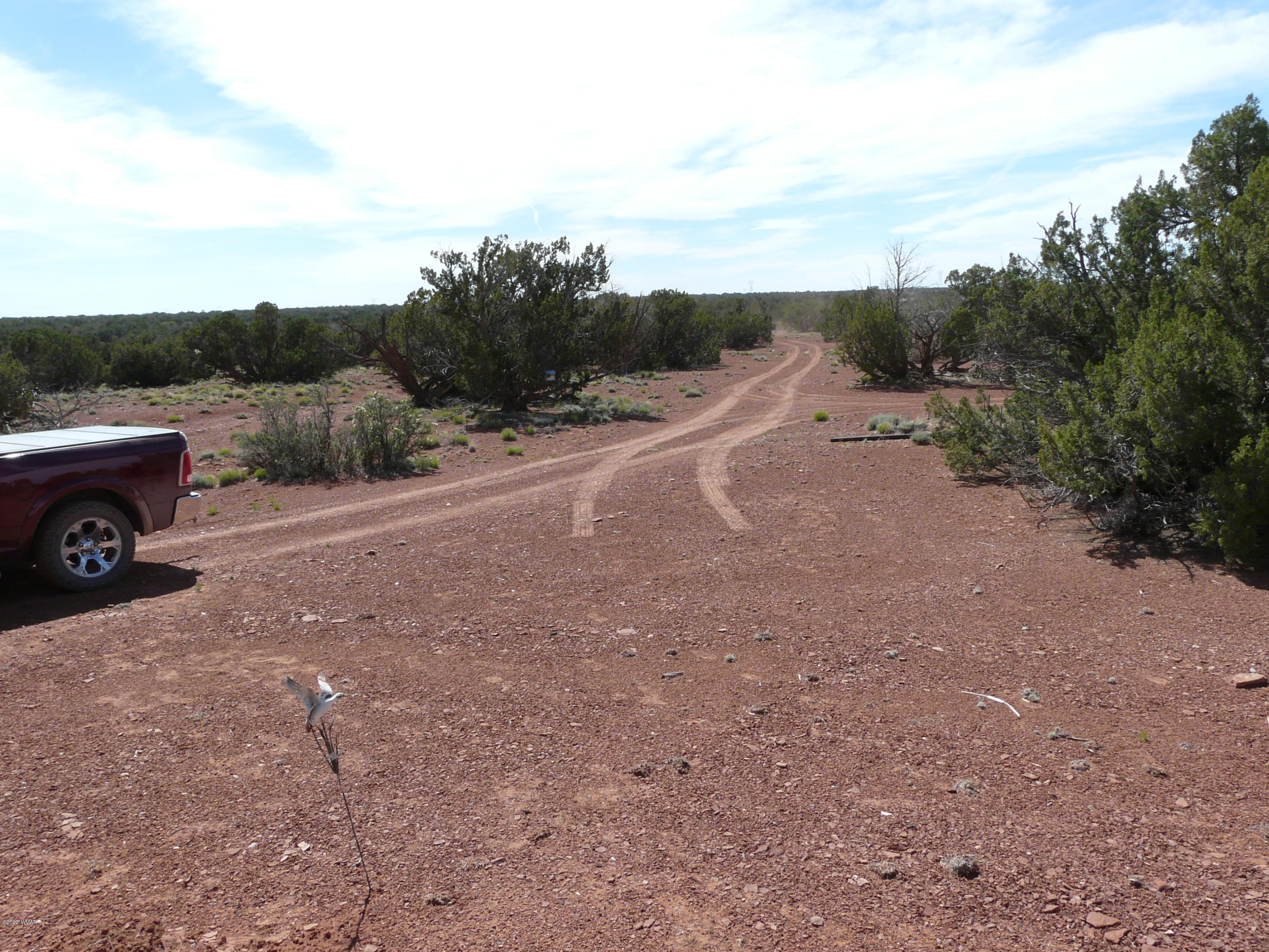 5929 Hertz Road, Unit 1 Heber, AZ 85928 - Photo 14 of 14