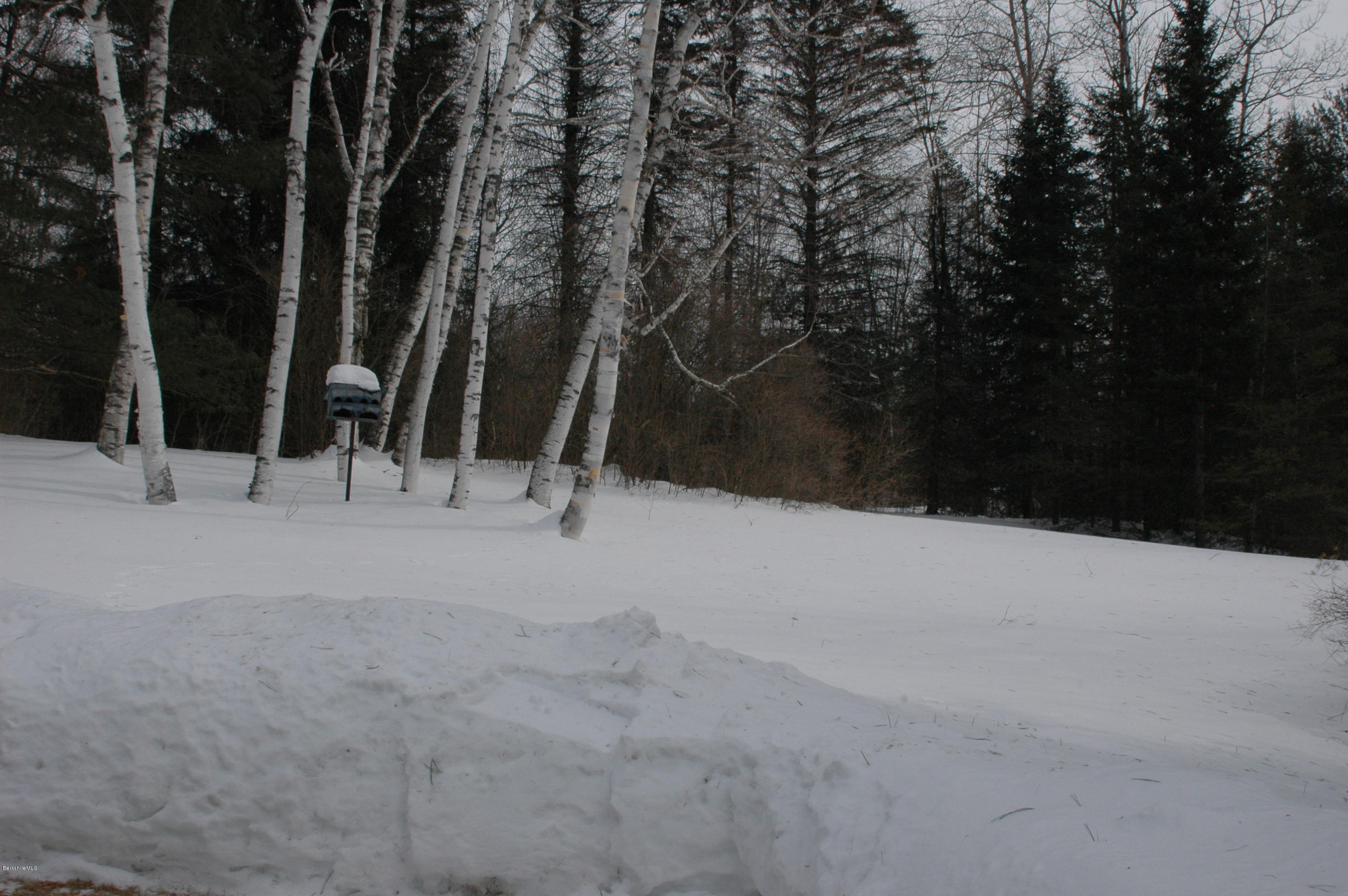 982 North State Road Cheshire, MA 01225 - Photo 22 of 32 backyard