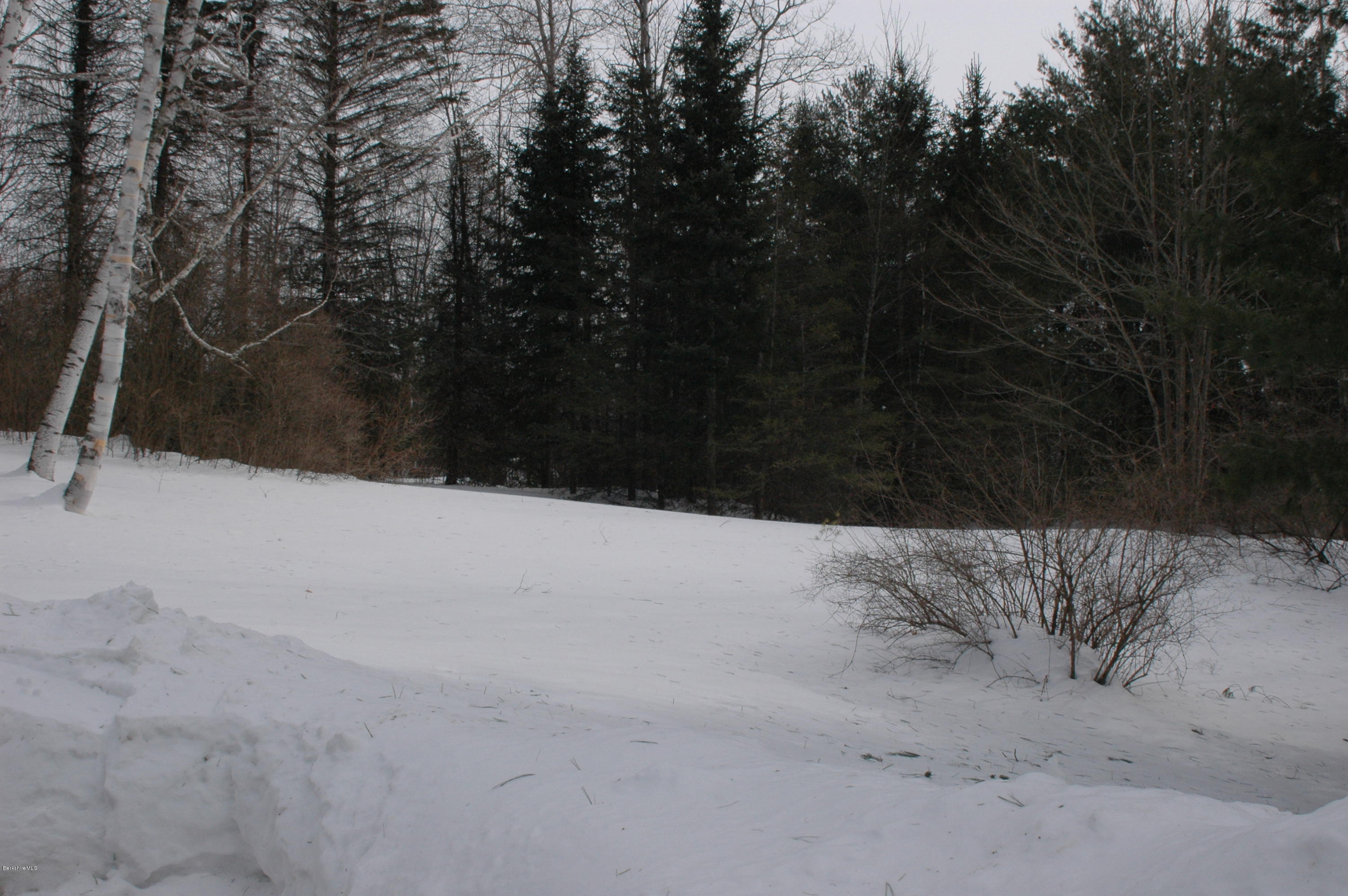 982 North State Road Cheshire, MA 01225 - Photo 23 of 32 backyard
