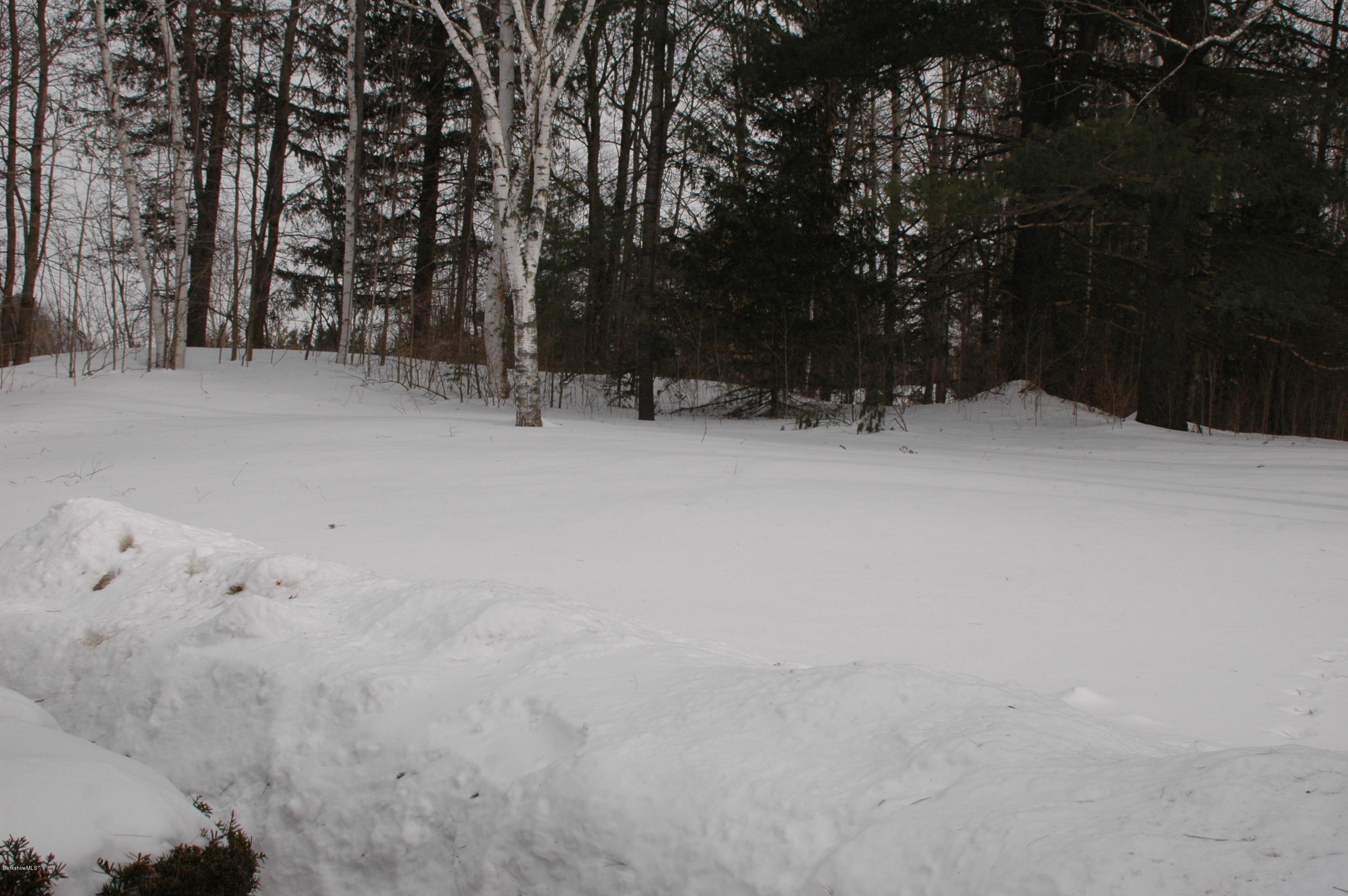 982 North State Road Cheshire, MA 01225 - Photo 24 of 32 backyard