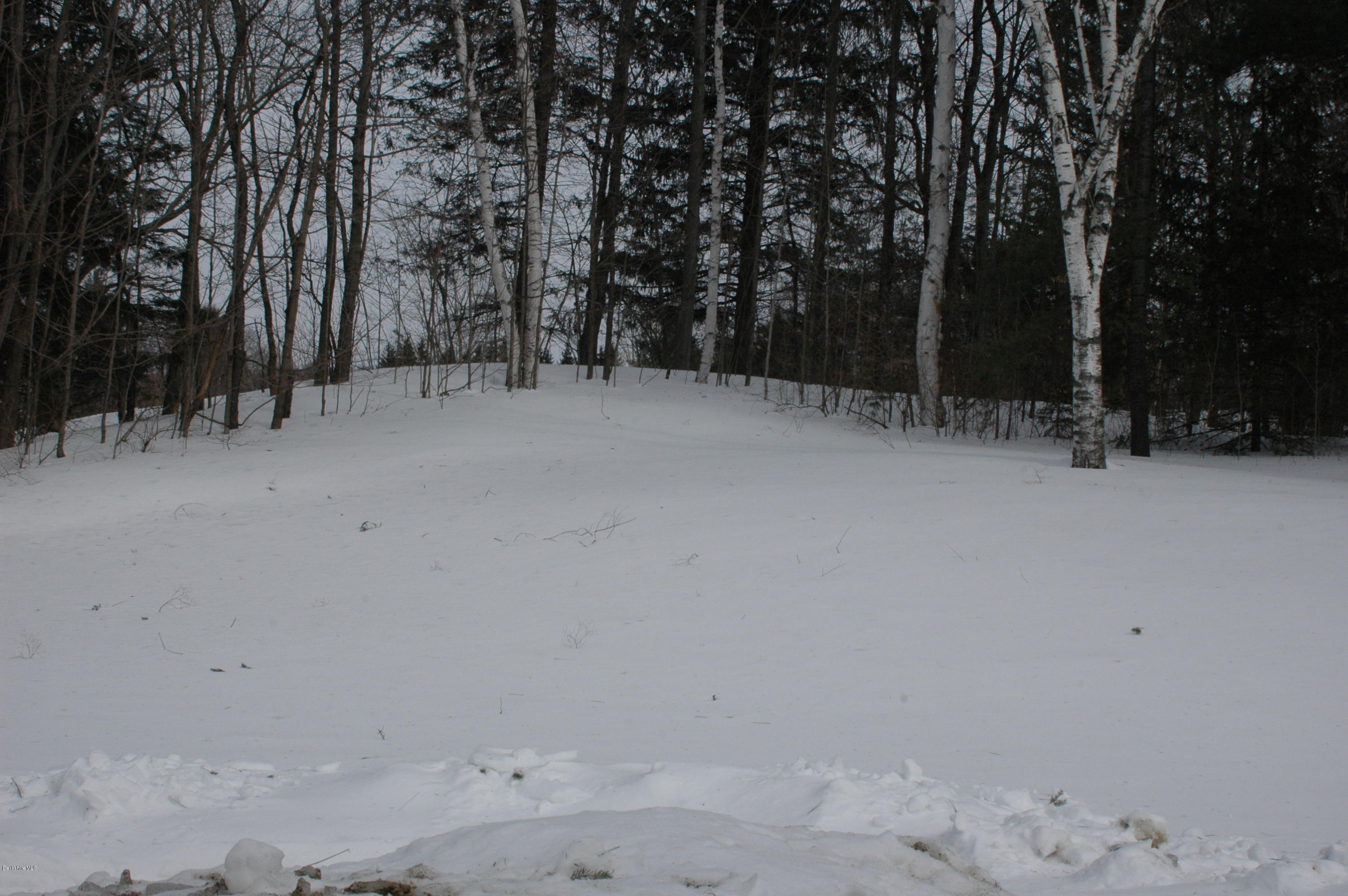 982 North State Road Cheshire, MA 01225 - Photo 30 of 32 backyard