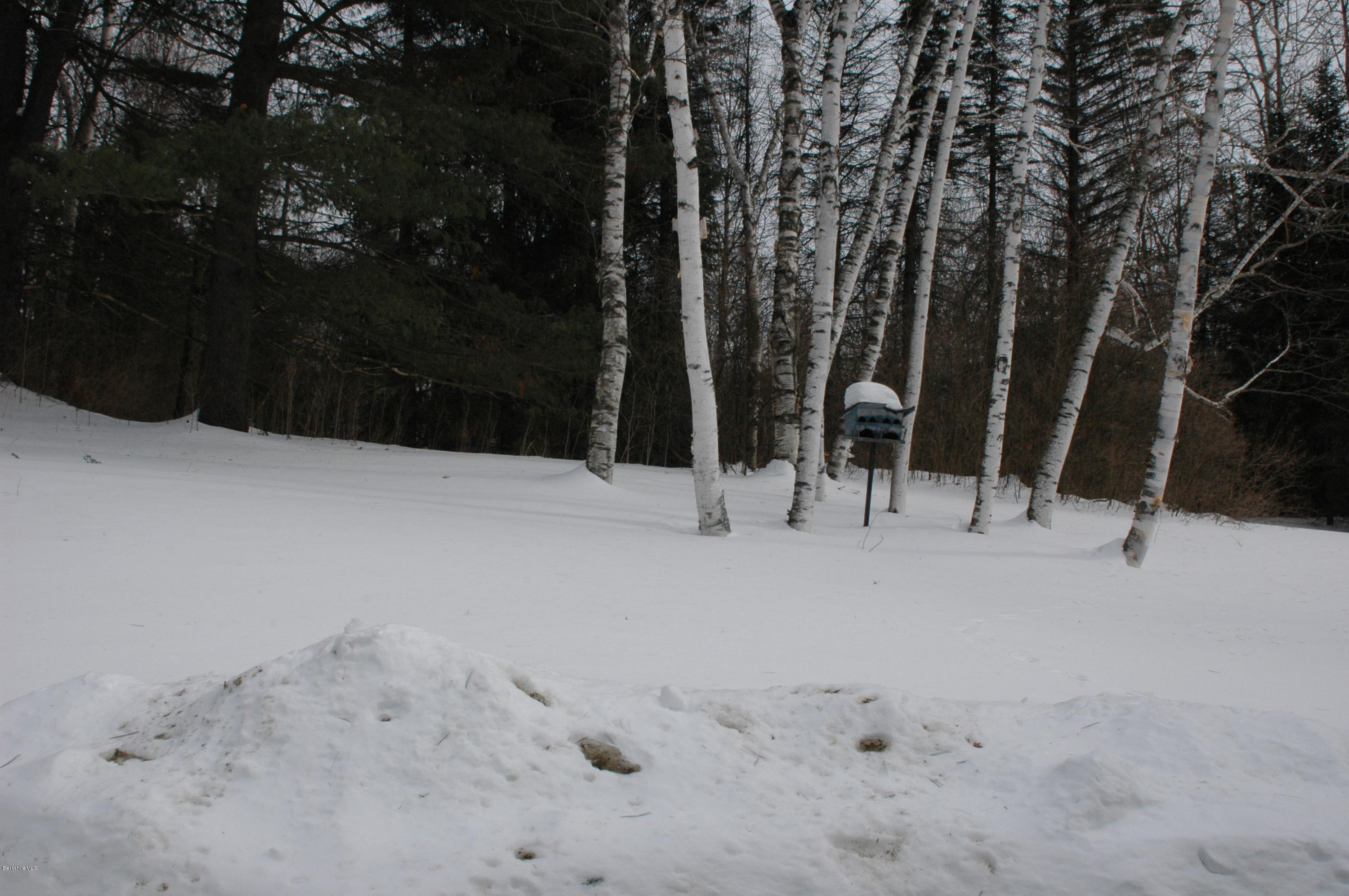 982 North State Road Cheshire, MA 01225 - Photo 31 of 32 backyard