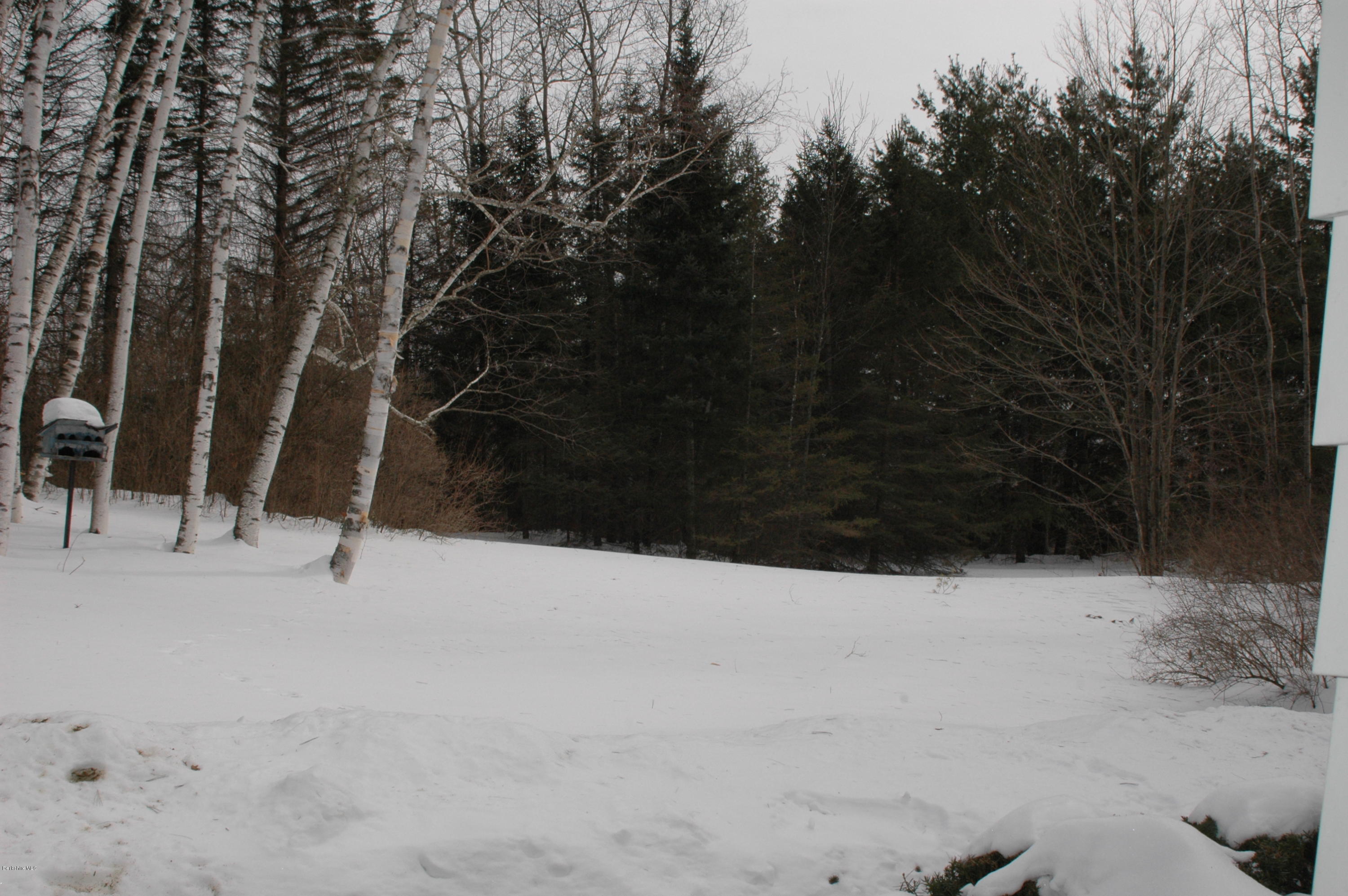 982 North State Road Cheshire, MA 01225 - Photo 32 of 32 backyard
