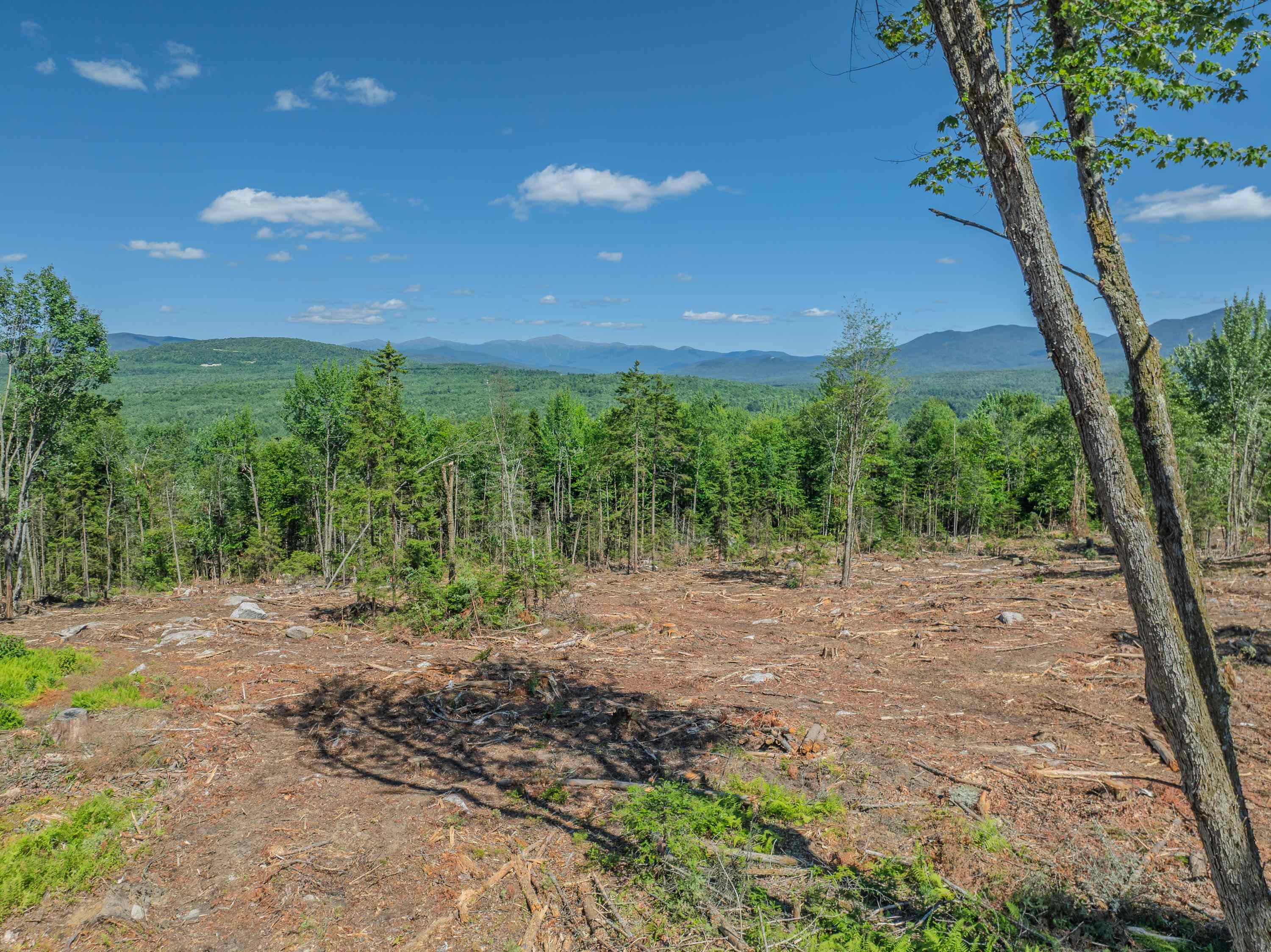 0 Ridge Road, Unit 27 Bethlehem, NH 03574 - Photo 2 of 57 Gallery Image 2