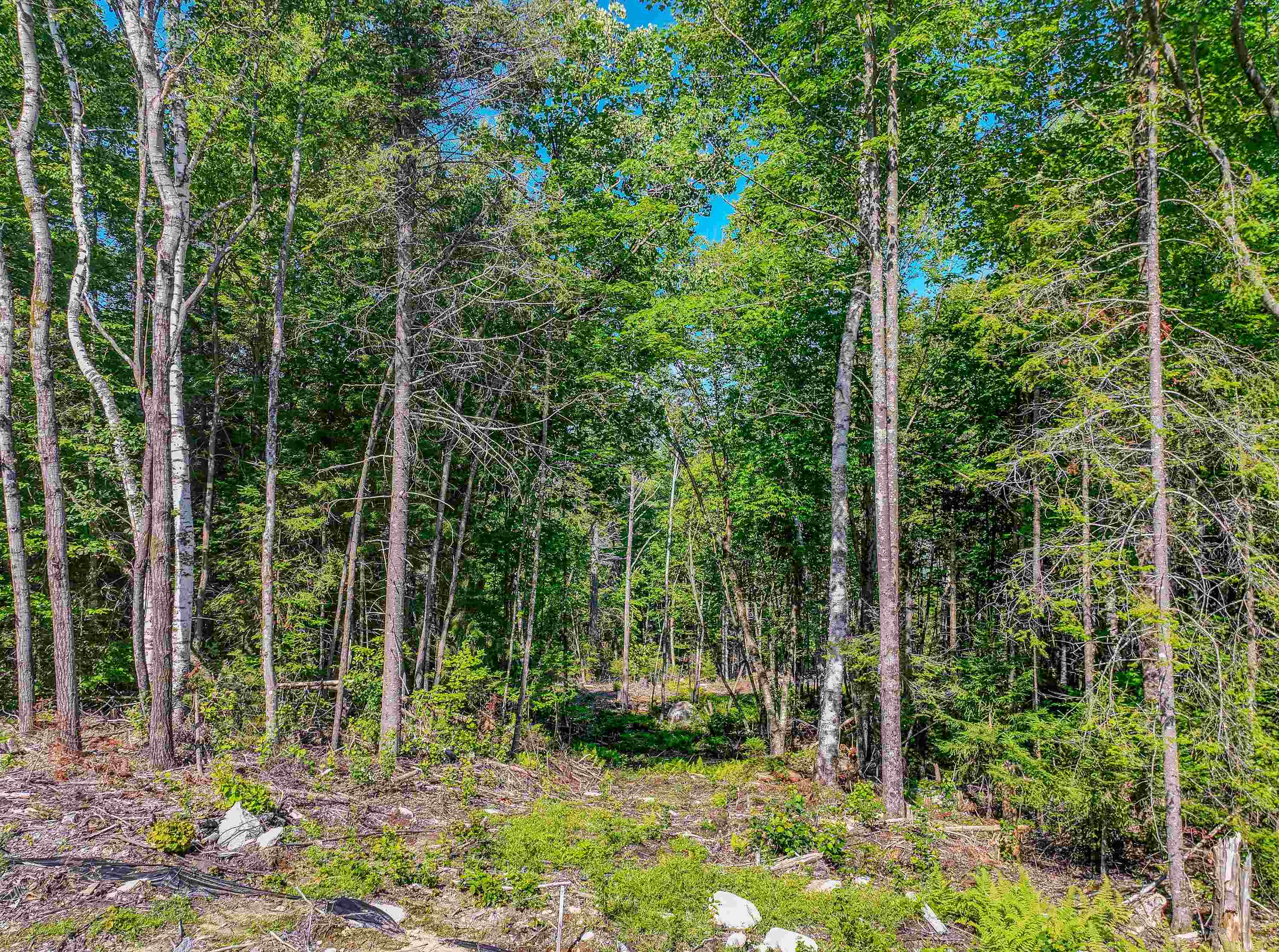 0 Ridge Road, Unit 27 Bethlehem, NH 03574 - Photo 39 of 57 Gallery Image 39