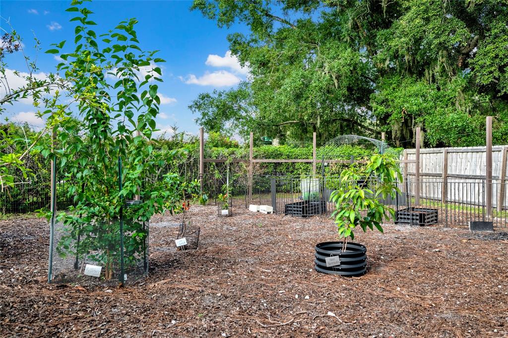 3440 Crenshaw Lake Road Lutz, FL 33548 - Photo 77 of 89 Gallery Image 77