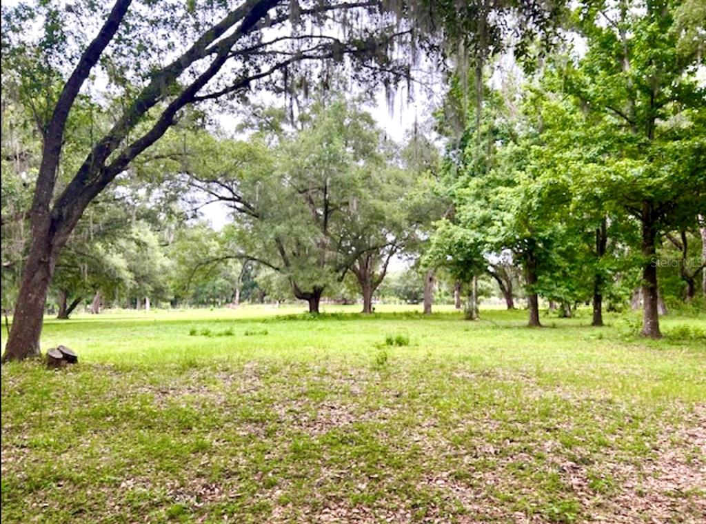 528 Ashley Lane Center Hill, FL 33514 - Photo 17 of 18