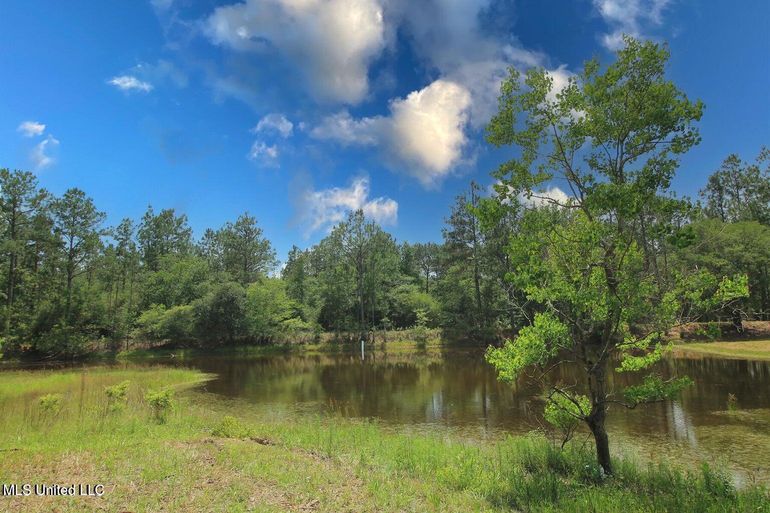 23-ac Hinton Road Lucedale, MS 39452 - Photo 11 of 42 11