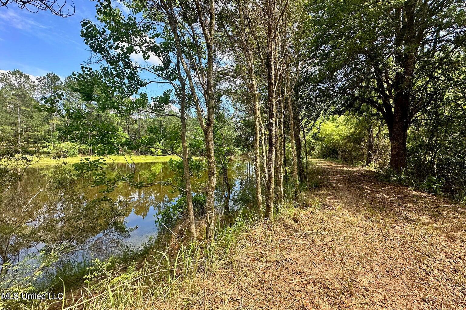 23-ac Hinton Road Lucedale, MS 39452 - Photo 12 of 42 12