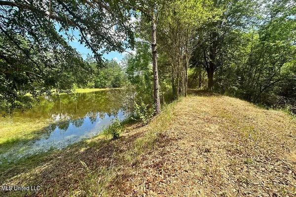 $199,999 | 23-ac Hinton Road, Lucedale, MS 39452