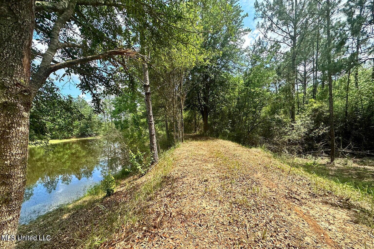 23-ac Hinton Road Lucedale, MS 39452 - Photo 14 of 42 14