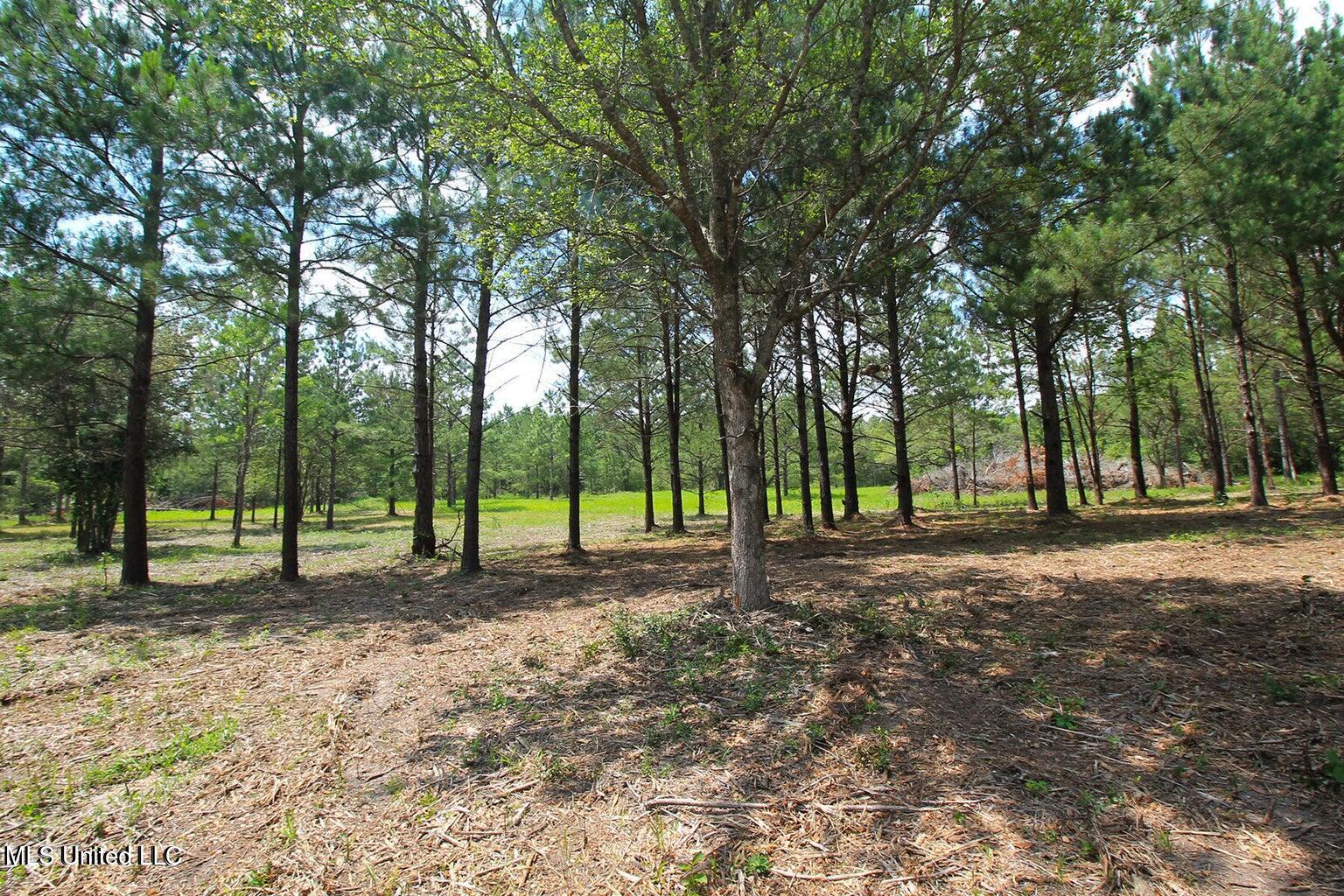 23-ac Hinton Road Lucedale, MS 39452 - Photo 16 of 42 16