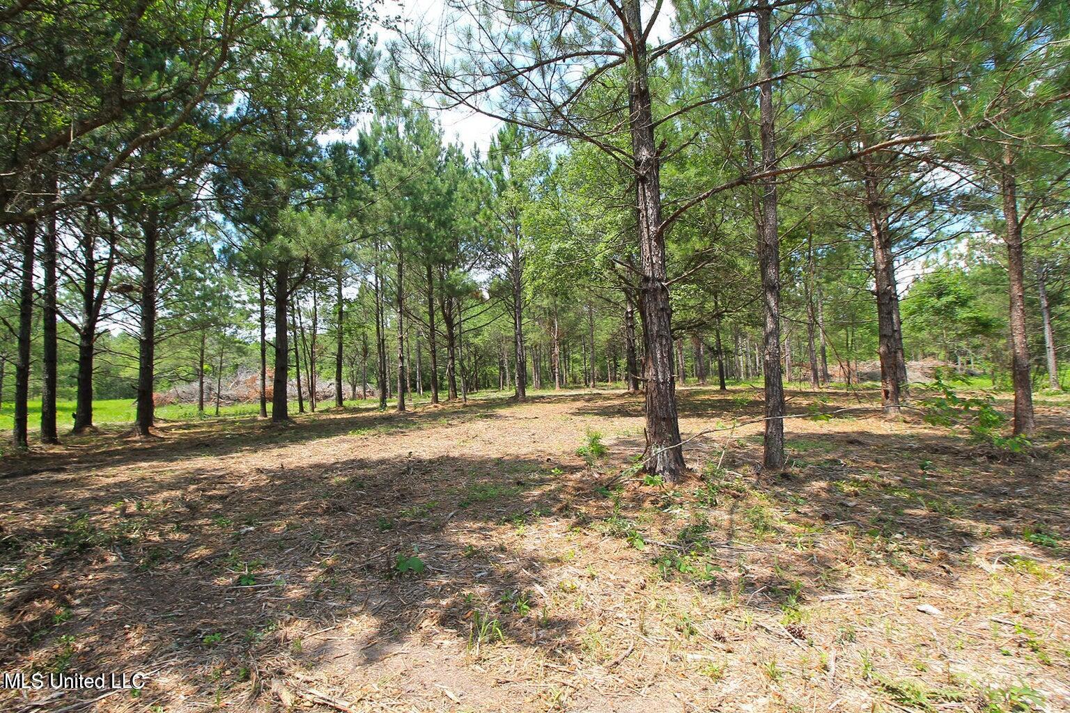 23-ac Hinton Road Lucedale, MS 39452 - Photo 17 of 42 17