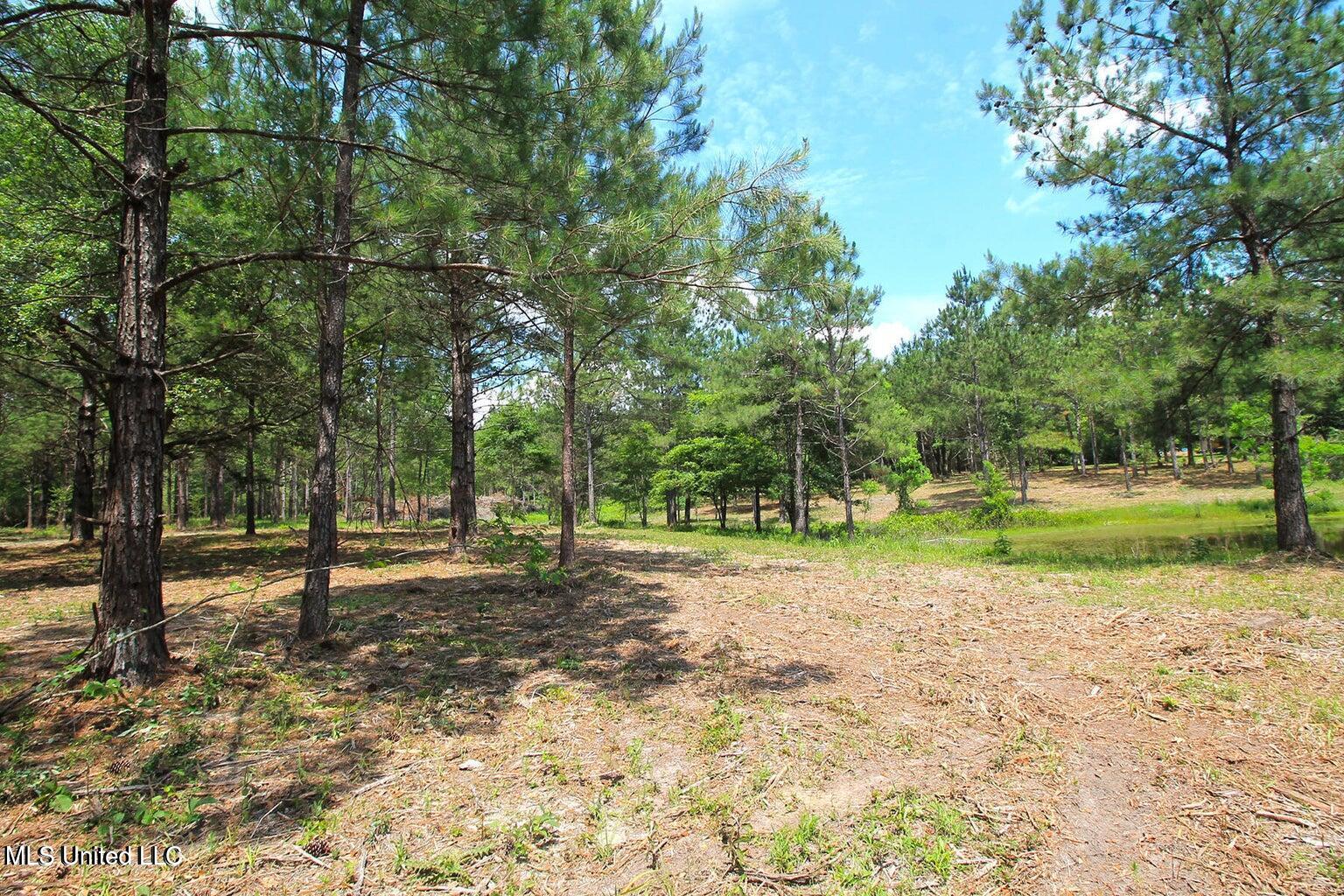 23-ac Hinton Road Lucedale, MS 39452 - Photo 18 of 42 18