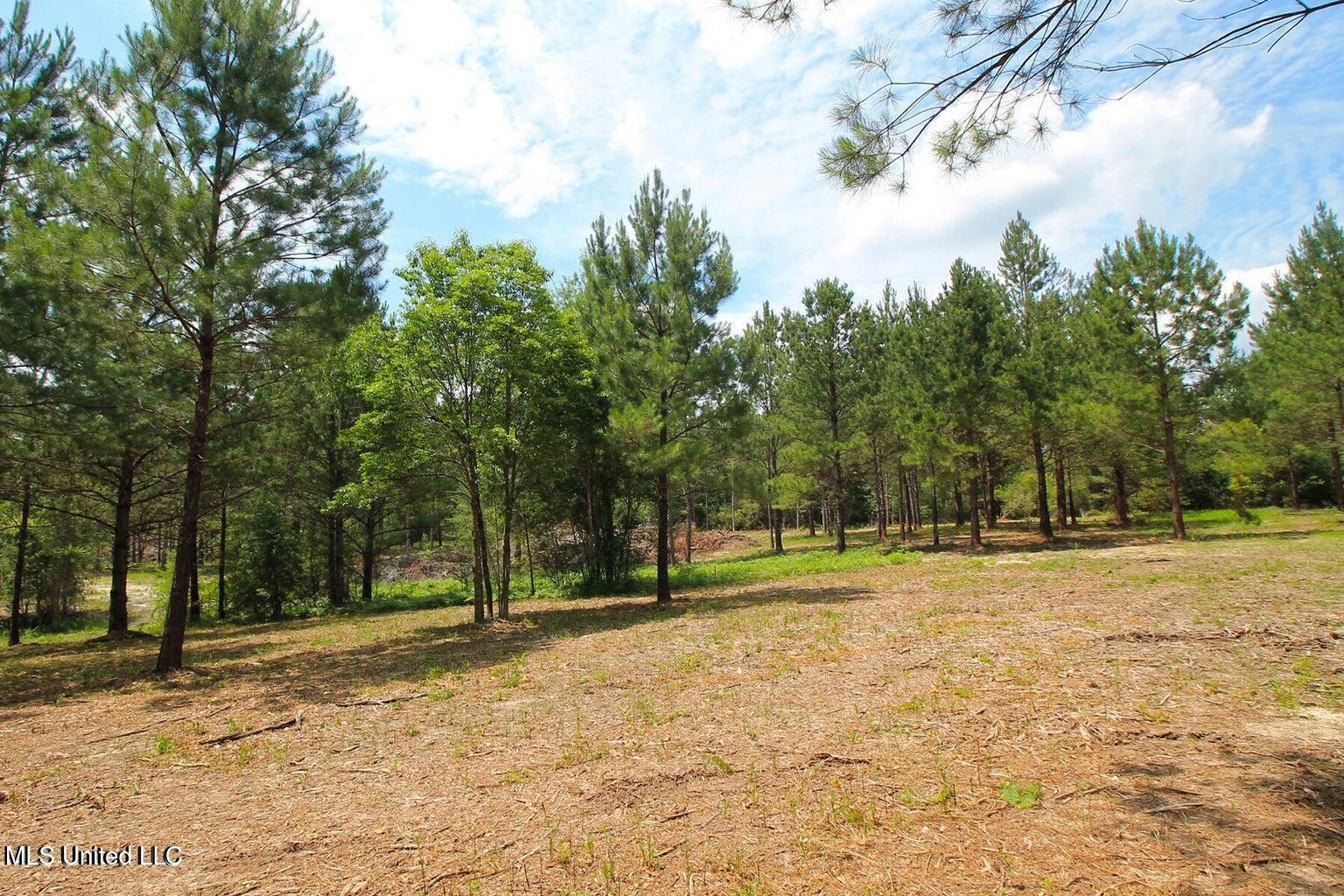 23-ac Hinton Road Lucedale, MS 39452 - Photo 19 of 42 19