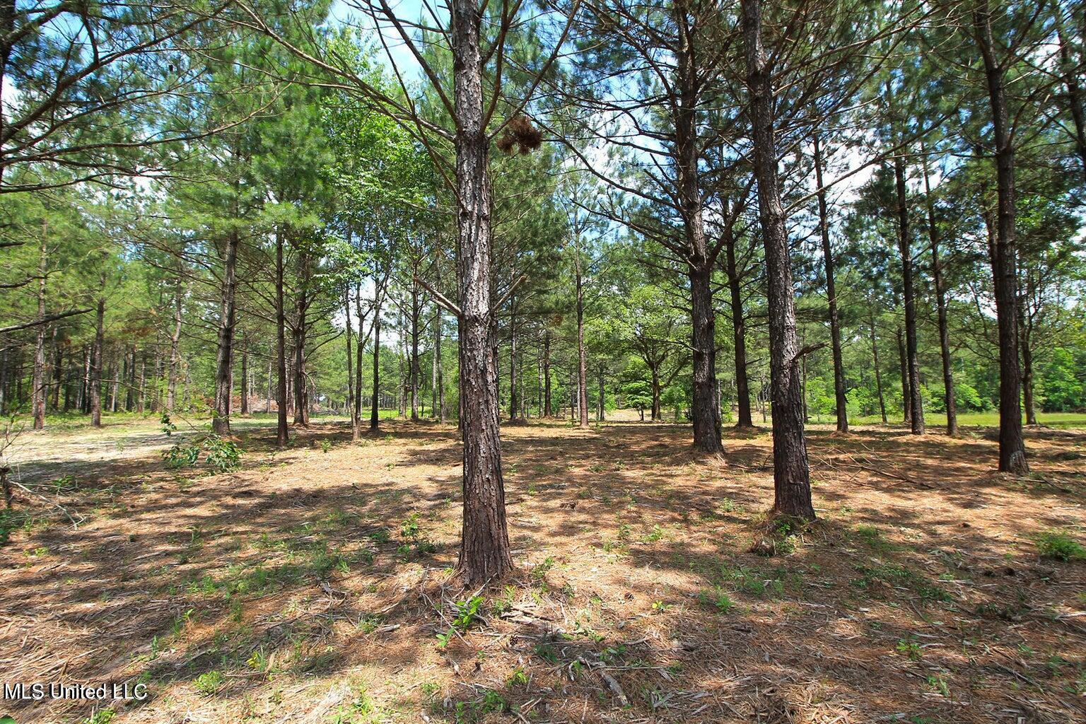 23-ac Hinton Road Lucedale, MS 39452 - Photo 20 of 42 20