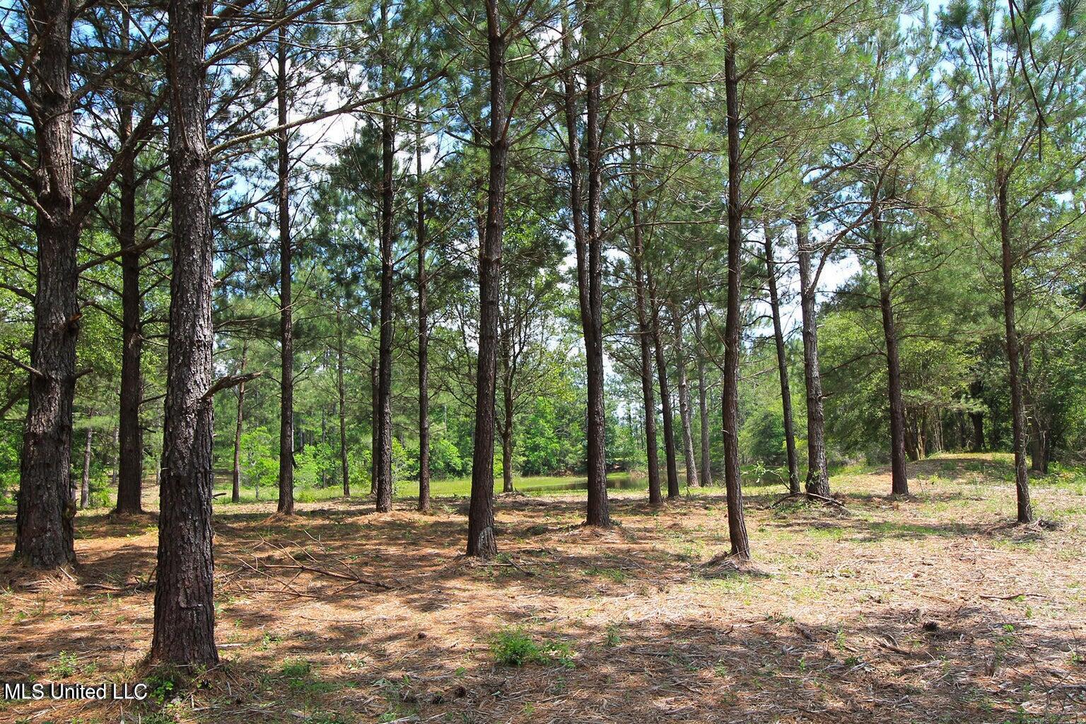 23-ac Hinton Road Lucedale, MS 39452 - Photo 21 of 42 21