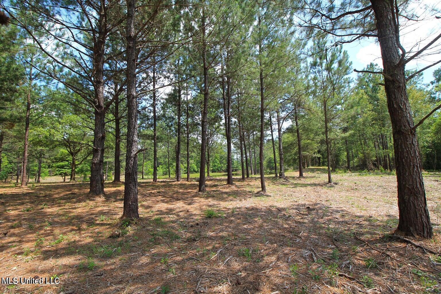 23-ac Hinton Road Lucedale, MS 39452 - Photo 22 of 42 22