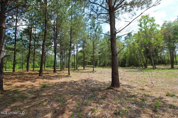 $199,999 | 23-ac Hinton Road, Lucedale, MS 39452
