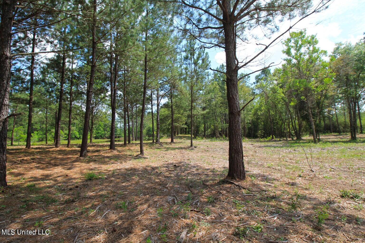 23-ac Hinton Road Lucedale, MS 39452 - Photo 23 of 42 23