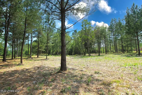 $199,999 | 23-ac Hinton Road, Lucedale, MS 39452