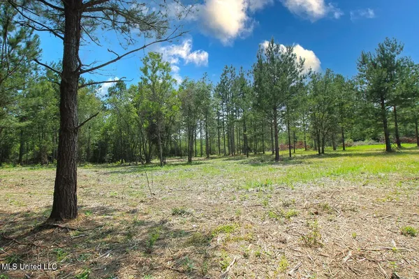 $199,999 | 23-ac Hinton Road, Lucedale, MS 39452