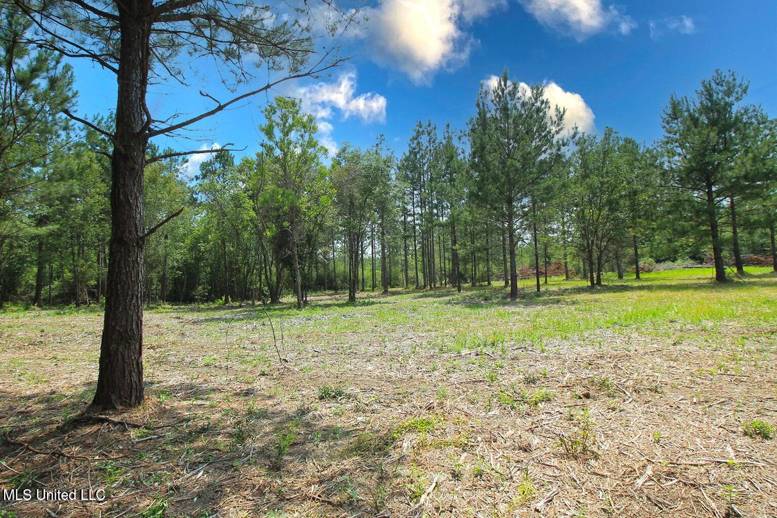 23-ac Hinton Road Lucedale, MS 39452 - Photo 25 of 42 25