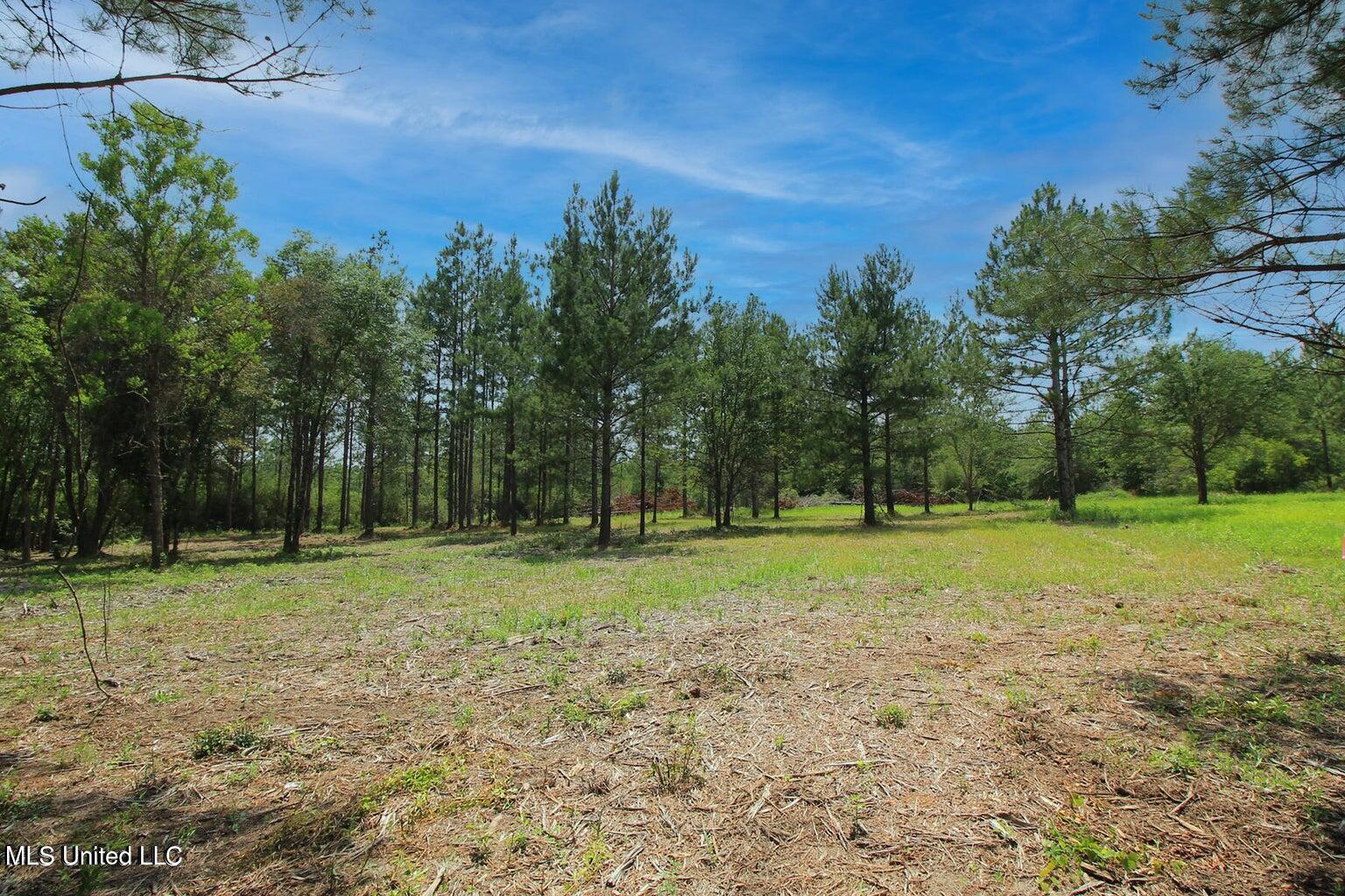 23-ac Hinton Road Lucedale, MS 39452 - Photo 26 of 42 26