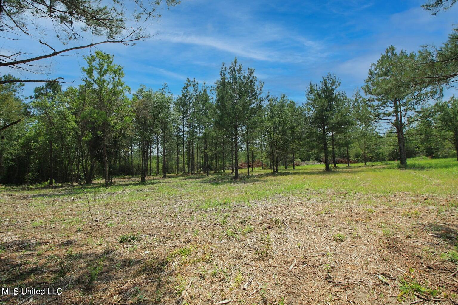 23-ac Hinton Road Lucedale, MS 39452 - Photo 27 of 42 27