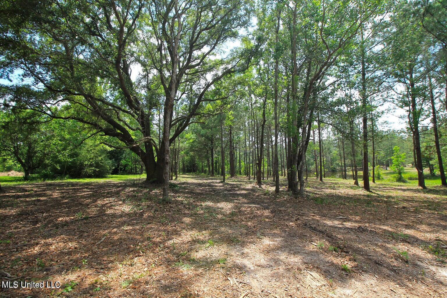 23-ac Hinton Road Lucedale, MS 39452 - Photo 28 of 42 28