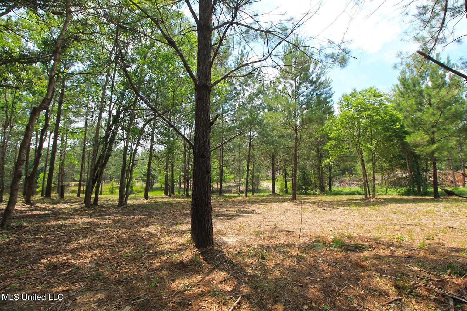 23-ac Hinton Road Lucedale, MS 39452 - Photo 29 of 42 29