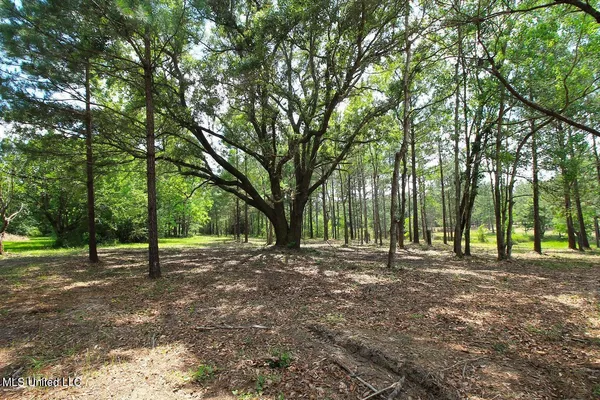 $199,999 | 23-ac Hinton Road, Lucedale, MS 39452
