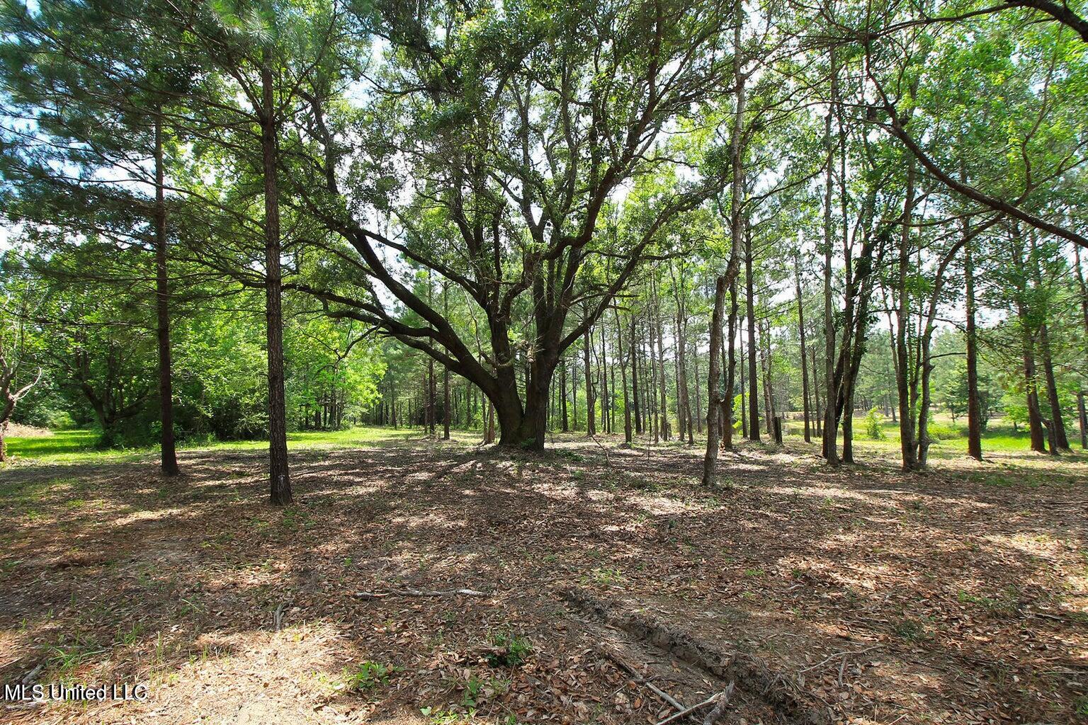 23-ac Hinton Road Lucedale, MS 39452 - Photo 30 of 42 30