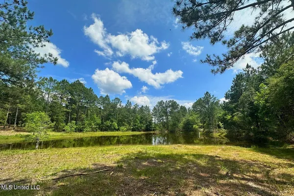 $199,999 | 23-ac Hinton Road, Lucedale, MS 39452