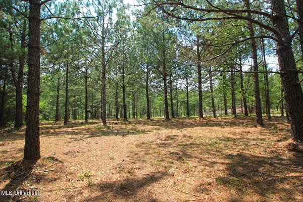 $199,999 | 23-ac Hinton Road, Lucedale, MS 39452