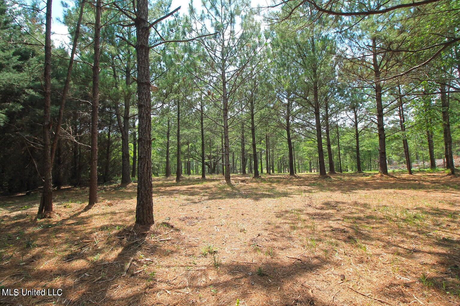 23-ac Hinton Road Lucedale, MS 39452 - Photo 32 of 42 32