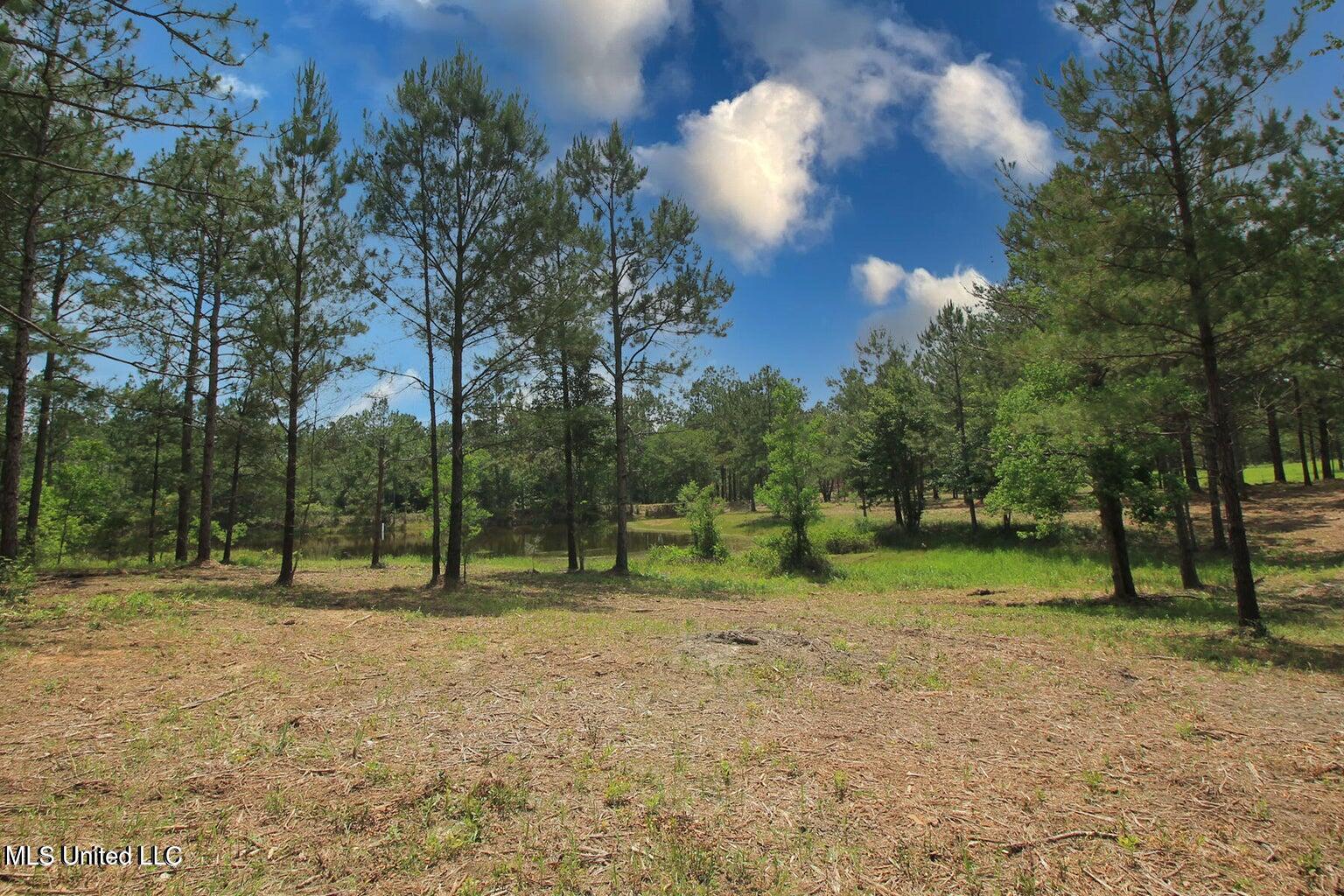 23-ac Hinton Road Lucedale, MS 39452 - Photo 33 of 42 33