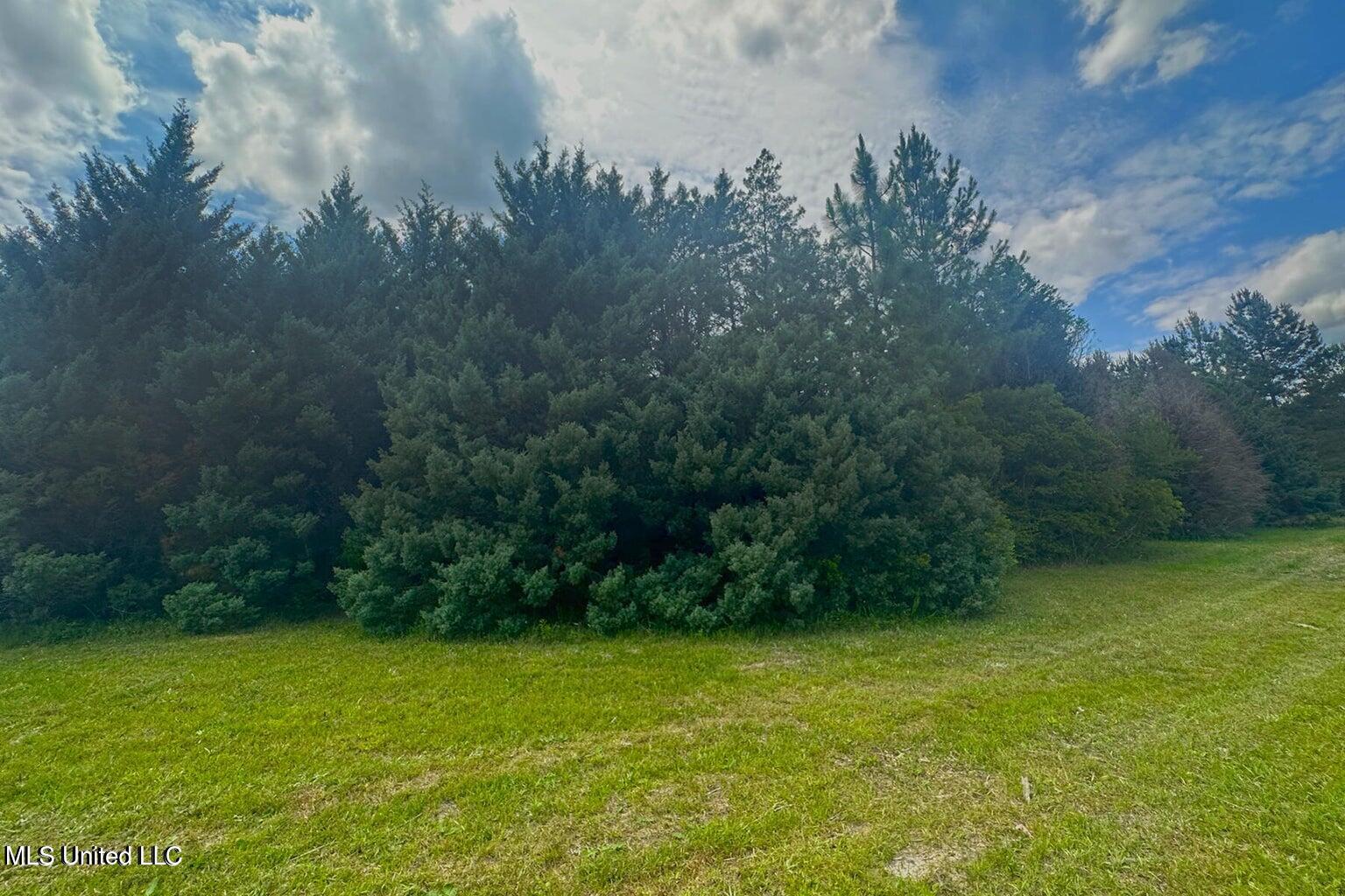 23-ac Hinton Road Lucedale, MS 39452 - Photo 35 of 42 35