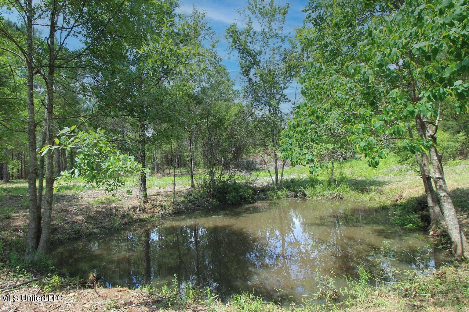 23-ac Hinton Road Lucedale, MS 39452 - Photo 37 of 42 37
