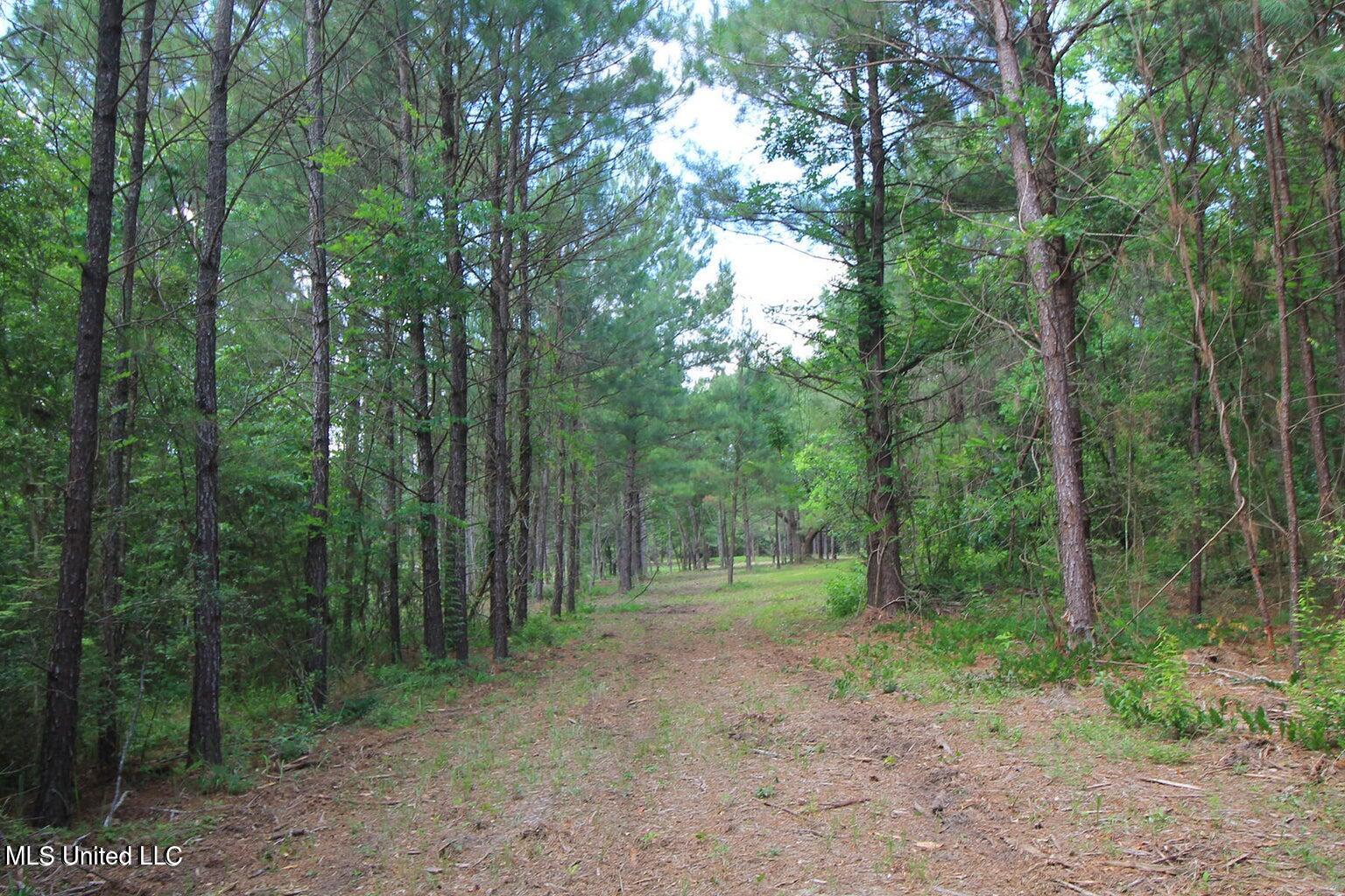23-ac Hinton Road Lucedale, MS 39452 - Photo 38 of 42 38