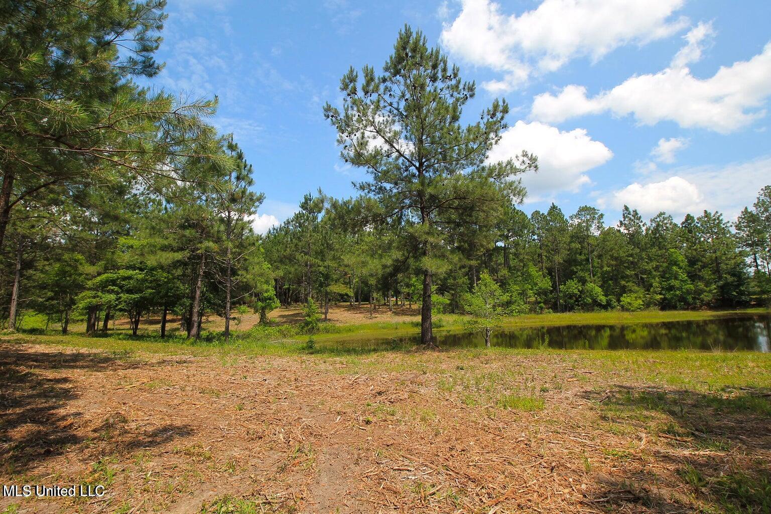 23-ac Hinton Road Lucedale, MS 39452 - Photo 39 of 42 39