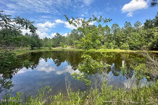$199,999 | 23-ac Hinton Road, Lucedale, MS 39452