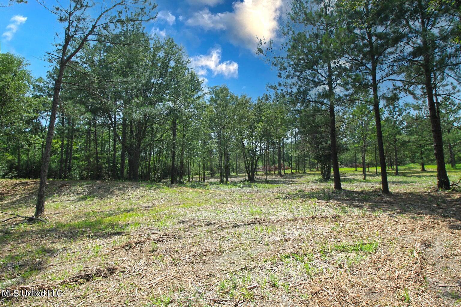 23-ac Hinton Road Lucedale, MS 39452 - Photo 5 of 42 5