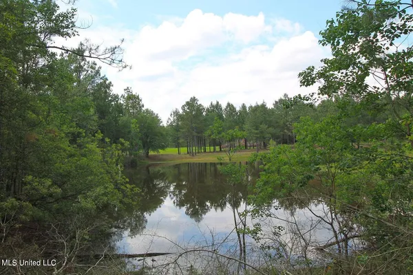$199,999 | 23-ac Hinton Road, Lucedale, MS 39452