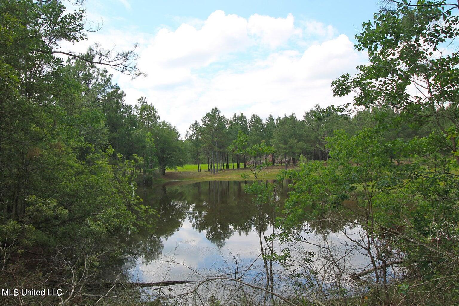 23-ac Hinton Road Lucedale, MS 39452 - Photo 6 of 42 6