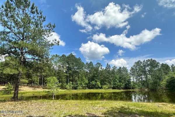 $199,999 | 23-ac Hinton Road, Lucedale, MS 39452
