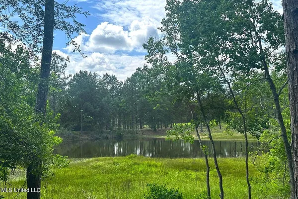 $199,999 | 23-ac Hinton Road, Lucedale, MS 39452