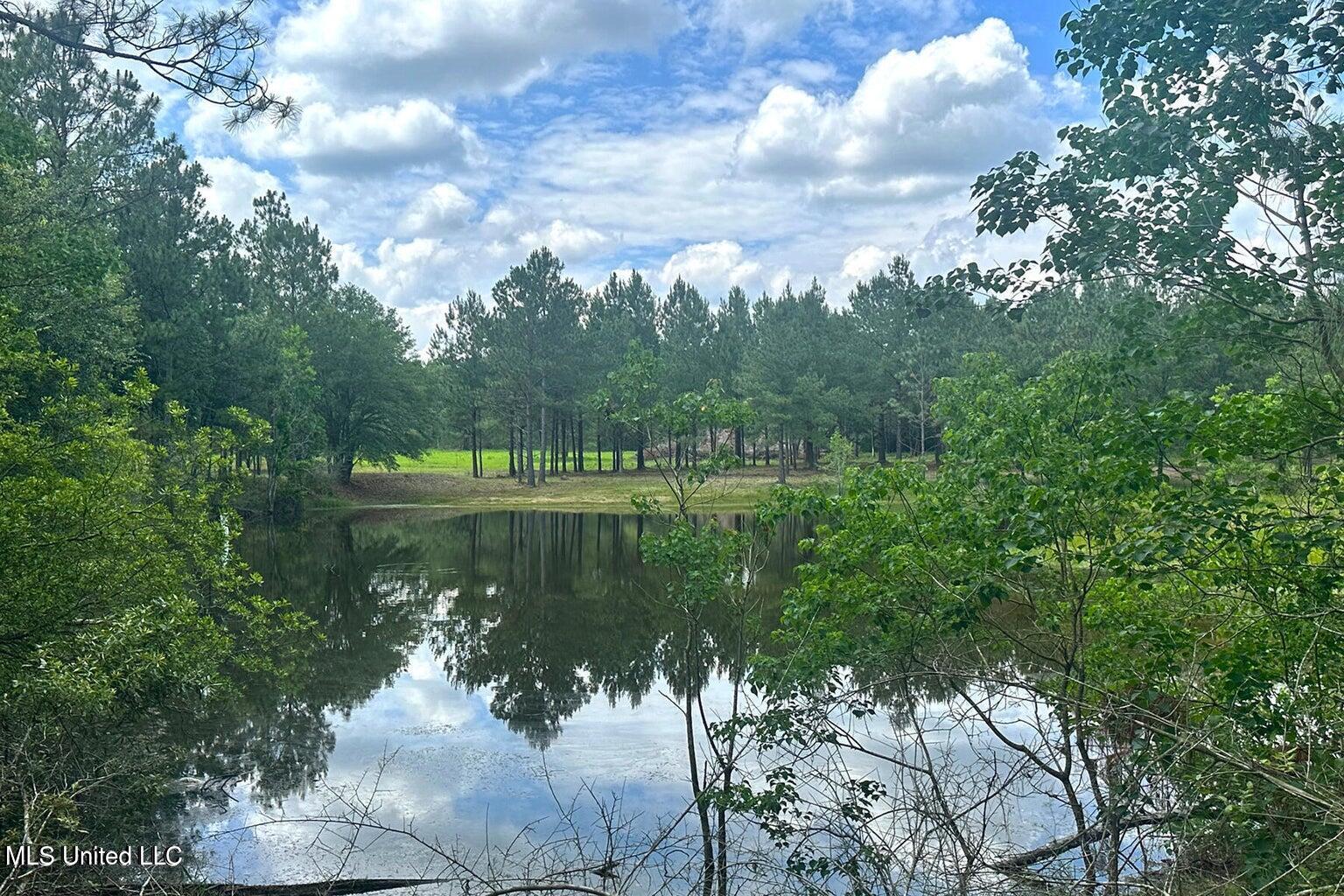 23-ac Hinton Road Lucedale, MS 39452 - Photo 9 of 42 9